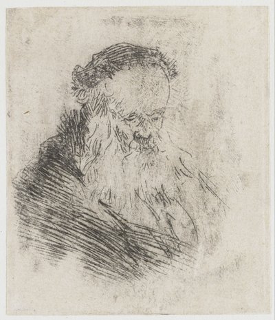 Bearded Old Man with High Forehead by Rembrandt van Rijn
