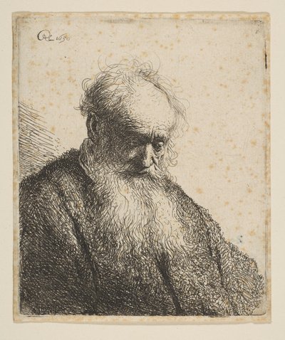 Bust of an Old Man with Flowing Beard by Rembrandt van Rijn