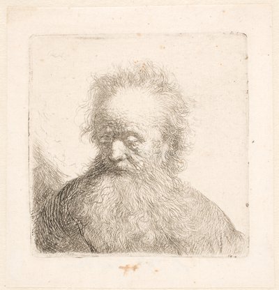 Bust of an Old Man with Flowing Beard by Rembrandt van Rijn
