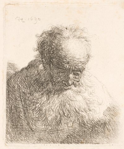 Bust of an Old Man with Flowing Beard by Rembrandt van Rijn