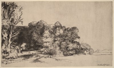 Clump of Trees with a Vista by Rembrandt van Rijn