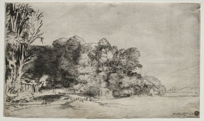 Clump of Trees with a Vista by Rembrandt van Rijn