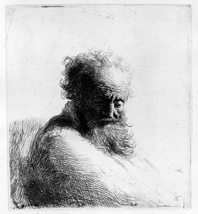 Head of an old man, 1631 by Rembrandt van Rijn