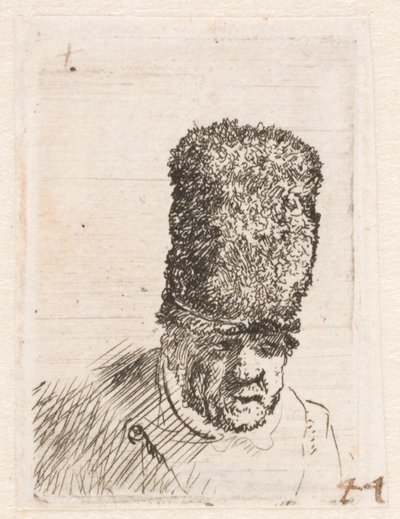 Head of an old man in a high fur cap by Rembrandt van Rijn