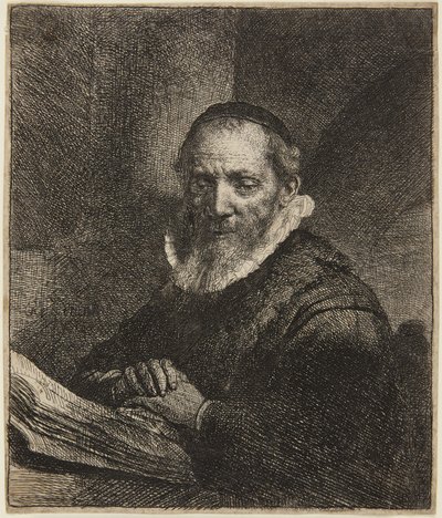 Jan Cornelis Sylvius by Rembrandt van Rijn