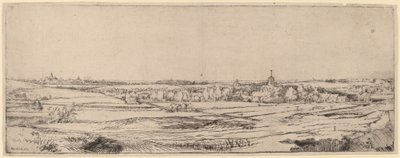 Landscape with a View toward Haarlem (The Goldweigher