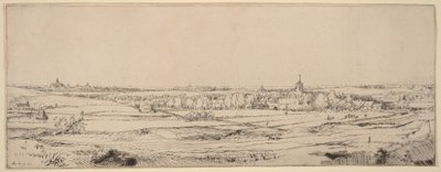 Landscape with a View toward Haarlem (The Goldweigher
