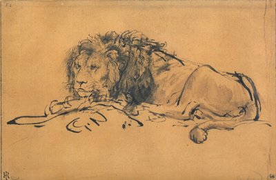 Lion Resting, Turned to the Left, c1650 by Rembrandt van Rijn