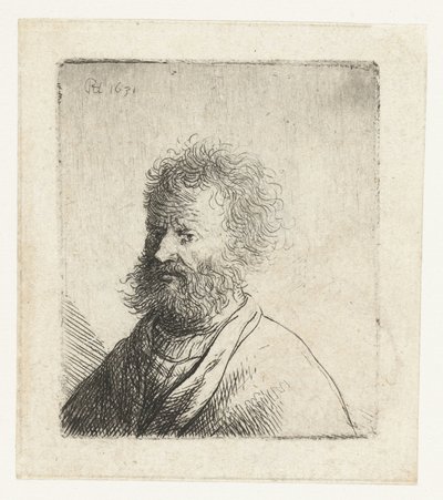 Man with Square Beard and Curly Hair: Bust by Rembrandt van Rijn