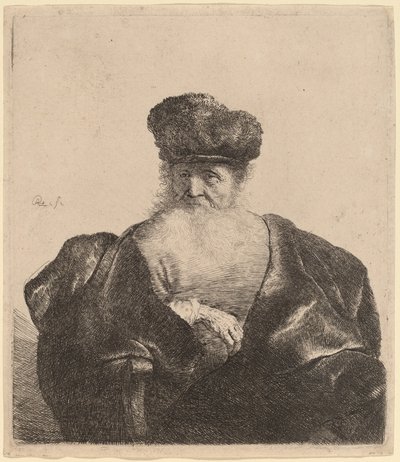 Old Man with Beard, Fur Cap, and Velvet Cloak by Rembrandt van Rijn