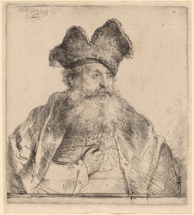 Old Man with a Divided Fur Cap by Rembrandt van Rijn