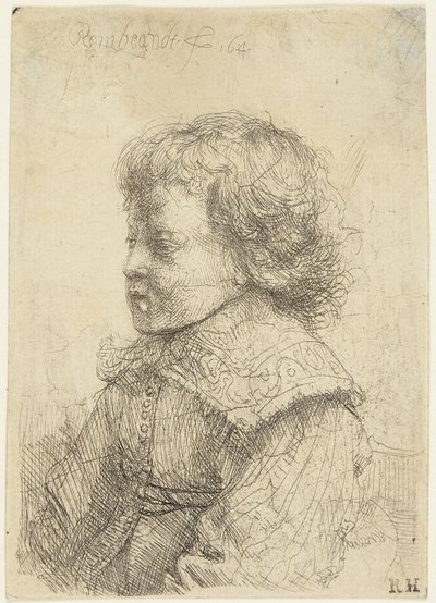 Portrait of a Boy by Rembrandt van Rijn