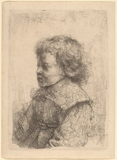 Portrait of a Boy in Profile by Rembrandt van Rijn