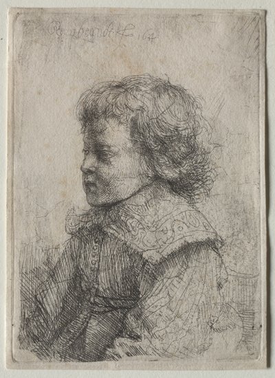 Portrait of a Boy in Profile by Rembrandt van Rijn