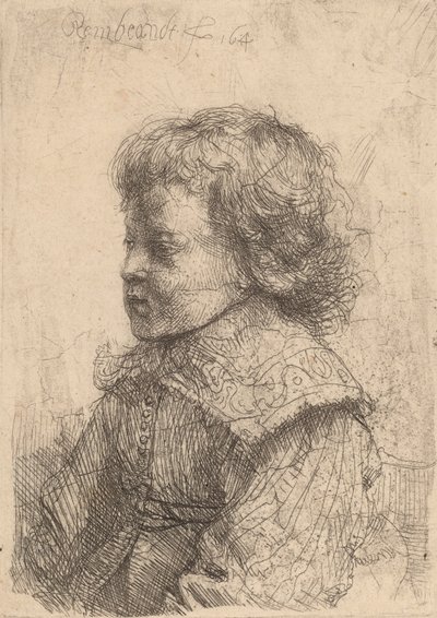 Portrait of a Boy in Profile, 1641 by Rembrandt van Rijn