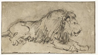 Recumbent Lion by Rembrandt van Rijn