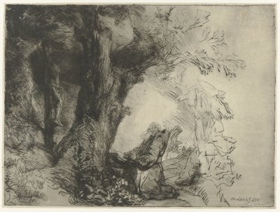 Saint Francis Beneath a Tree, Praying by Rembrandt van Rijn