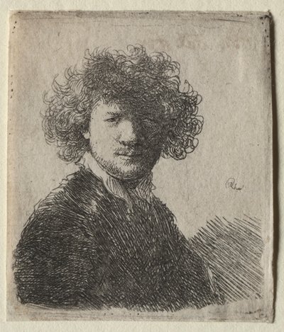 Self-Portrait with Curly Hair and White Collar: Bust by Rembrandt van Rijn