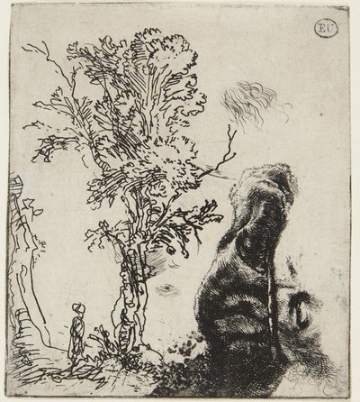 Sheet with Two Studies: A Tree and Self-Portrait by Rembrandt van Rijn