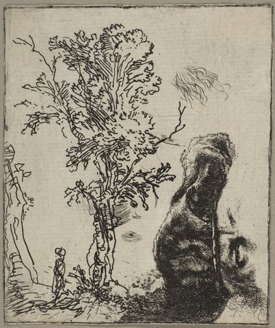 Sheet with Two Studies: A Tree and the Upper Part of a Head of Rembrandt Wearing a Velvet Cap, ca. 1642 by Rembrandt van Rijn