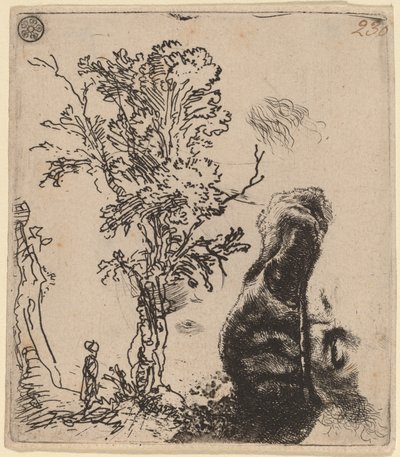 Sheet with Two Studies: a Tree, and the Upper Part of a Head Wearing a Velvet Cap by Rembrandt van Rijn
