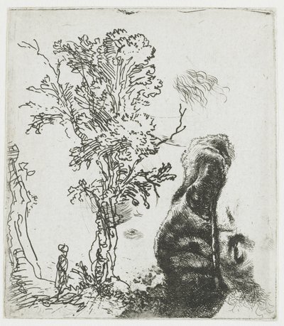 Study Sheet with a Tree, and the Upper Part of Rembrandt