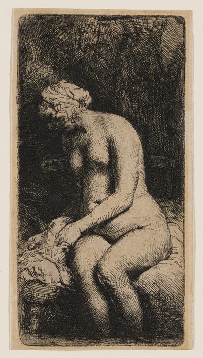 Woman with Her Feet in a Brook by Rembrandt van Rijn