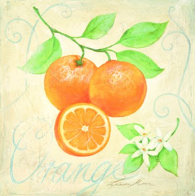 Fresh Oranges and Blossoms by Renate Holzner