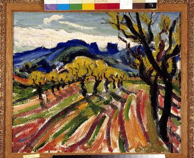 Field of olive trees in the Alpilles by Rene Auguste Seyssaud