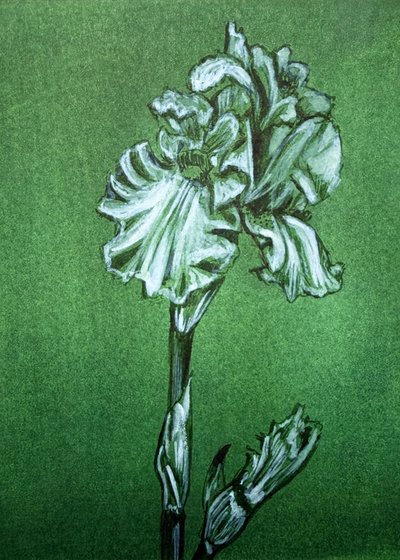 Elegant Green Iris by Renee Machan Cottagecore Artist