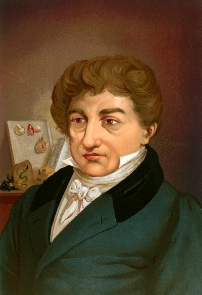 Georges Cuvier by Ricardo Marti