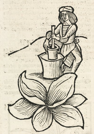 Medieval Man Using a Pestle and Mortar to Crush Plants by John Pardon