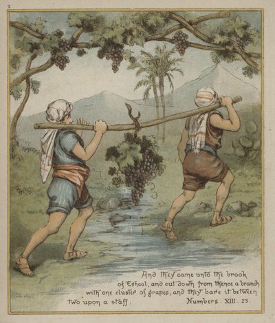 A Cluster of Grapes from Eshcol by Richard Andre