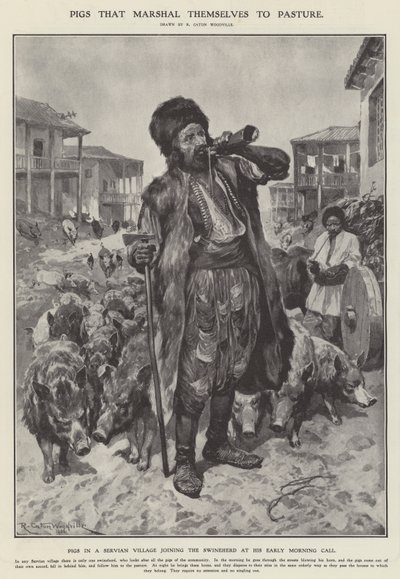 Pigs that Marshal Themselves to Pasture by Richard Caton II (after) Woodville