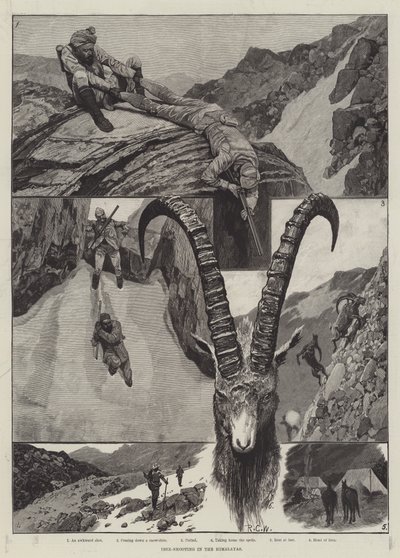 Ibex-Shooting in the Himalayas (engraving) by Richard Caton Woodville junior