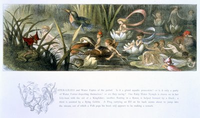Water-Lilies and Water Fairies, Illustration from 