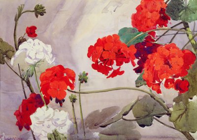 Red and White Geraniums by Richard E. Clarke