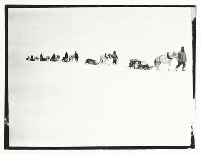 Ponies on the march, Great Ice Barrier, 2 December by Robert Falcon Scott