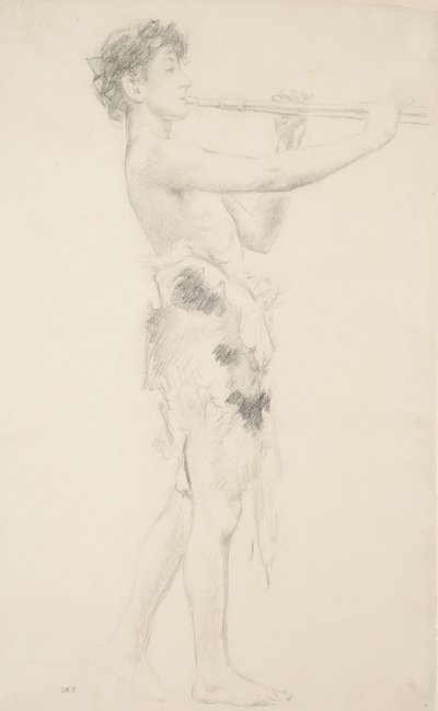 Study of piper for 