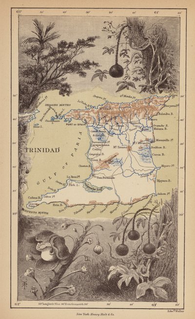 Trinidad by Robert Pritchett