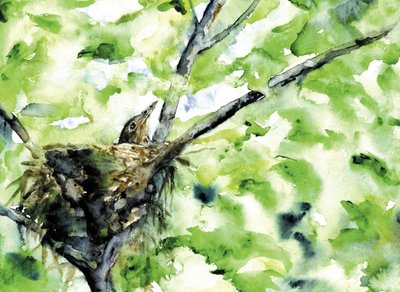 Baby Bird in Green Nest by RodMacIver