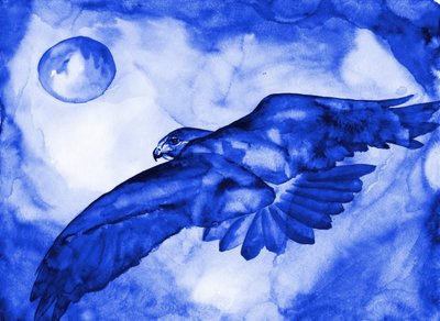 Blue Hawk Moon Flight by RodMacIver
