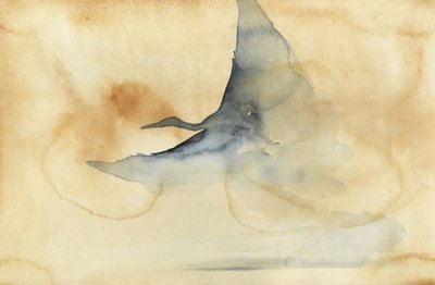Ethereal Bird Soaring by RodMacIver