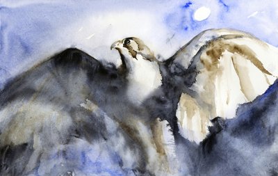 Majestic Falcon Flight by RodMacIver