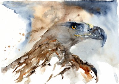 Majestic Watercolor Eagle by RodMacIver