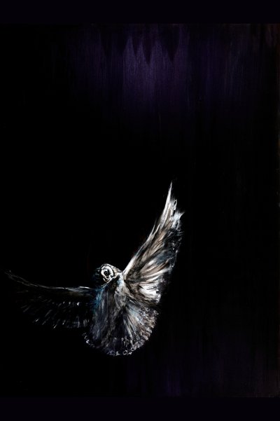 Nocturnal Owl Flight by RodMacIver