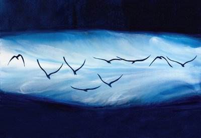 Soaring Blue Birds by RodMacIver