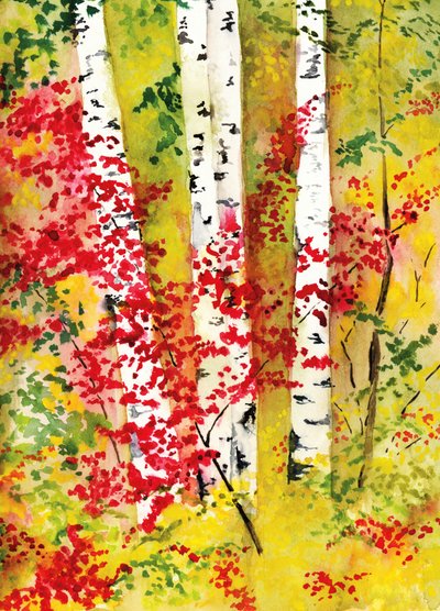 Vibrant Autumn Birches by RodMacIver