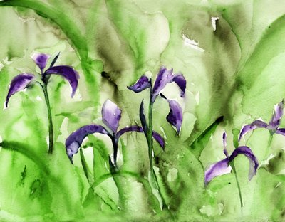Vibrant Iris Garden by RodMacIver