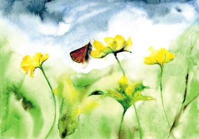 Vibrant Meadow Butterfly by RodMacIver